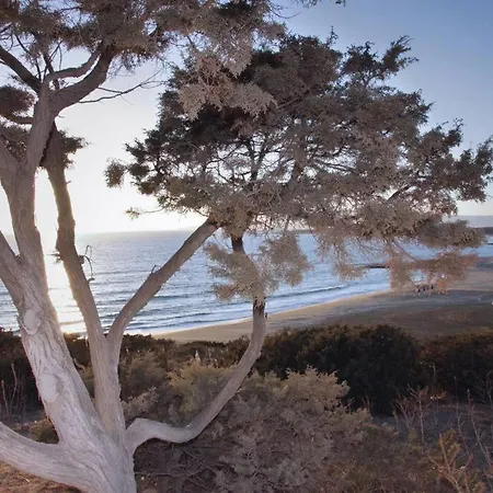 Junior Paradise! * Agiassos