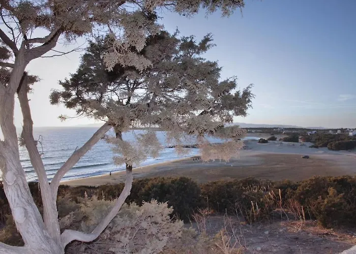 Junior Paradise! * Agiassos