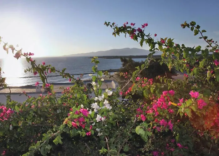 Apartamento Junior Paradise!