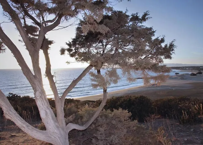 Junior Paradise! * Agiassos